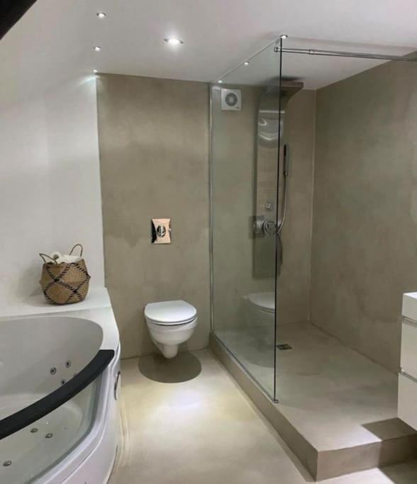 נאנסי Stanislas Central & Jacuzzi Parking מראה חיצוני תמונה